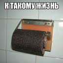 ���� ��������**********, ����� - ��������� 1 ������ 2015 � ������ ������ ��������