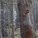 ���� �����, ������, 47 ��� - ��������� 20 ������� 2015 � ������ ���� ����������