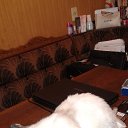 ��� �� �������������� ����? �� ������� ���� ����������