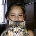  , , 40  -  18  2015      (2015)