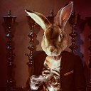 ���� ��������, �����, 32 ���� - ��������� 4 ������ 2016 � ������ ������ ��������