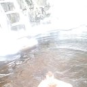 ���� ���������, ����������, 71 ��� - ��������� 7 ������� 2016 � ������ �� �������� vk.com/fotomimi�