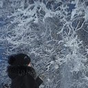 ���� ������, ������, 32 ���� - ��������� 22 ������� 2015 � ������ ���� ����������