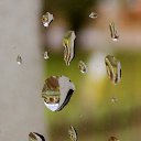 ������� 2015 �� ������� �����ܻ