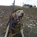 ���� �����, ������, 40 ��� - ��������� 9 ������ 2016 � ������ ���������� ������