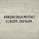 ���� ������, ����������, 51 ��� - ��������� 23 ������� 2015 � ������ ������ ��������