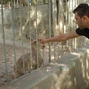 ���� Dmitros, ������, 39 ��� - ��������� 25 ������ 2016 � ������ ���� ����������