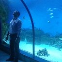 ���� �������, ������, 51 ��� - ��������� 20 ������ 2015 � ������ ����������� 11.11.15�