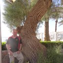 ����� ������ �� ������� ���� ����������