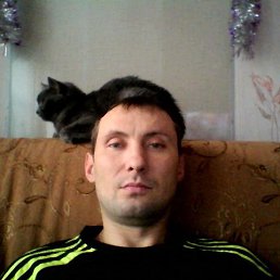 ������, �����-���������, 45 ���