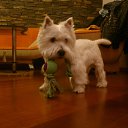 ���� ������, ������������, 45 ��� - ��������� 22 ������� 2016 � ������ ������ ��������