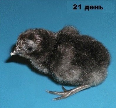     - 7