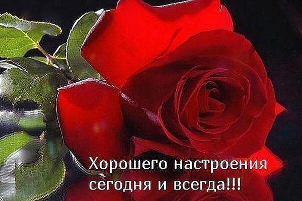 ����� ����� ���� ������ ��� ���� . ����� ����� ����� ��- ������� ������ . ������ ��������� �������� ...