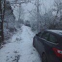 ������ ����� �� ������� ���� ����������