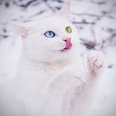 ���� &hearts;&hearts;�������, ����� - ��������� 13 ������ 2015 � ������ ���� ����������