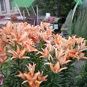 ���� �����, ������ - ��������� 1 ����� 2016 � ������ ���� ����������