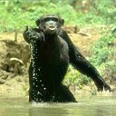 ���� ������, �������������, 33 ���� - ��������� 27 �������� 2015 � ������ �� ��������� ����������