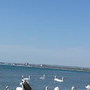 ���� �������, ������, 50 ��� - ��������� 30 ������� 2015 � ������ ���� ����������