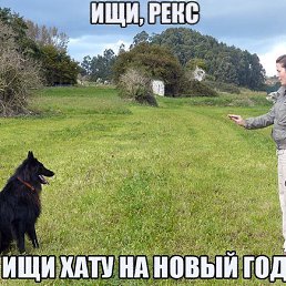 ���� ���������, ������, 32 ���� - ��������� 31 ������� 2015