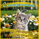 ���� ��������, ������, 49 ��� - ��������� 8 ������� 2015 � ������ �������� ��������