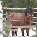 ���� �������, �����, 65 ��� - ��������� 5 ������ 2015 � ������ �������