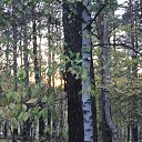 ���� ������, ������������, 43 ���� - ��������� 3 ������� 2015 � ������ ���� ����������