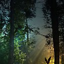 ���� �����, ����������� - ��������� 6 ������ 2015 � ������ �222�