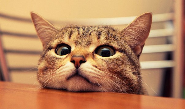 ������ �����, ������� ������ �������� ������ ������� �� ����� �����.1) �������� ������ ������� ����, ...