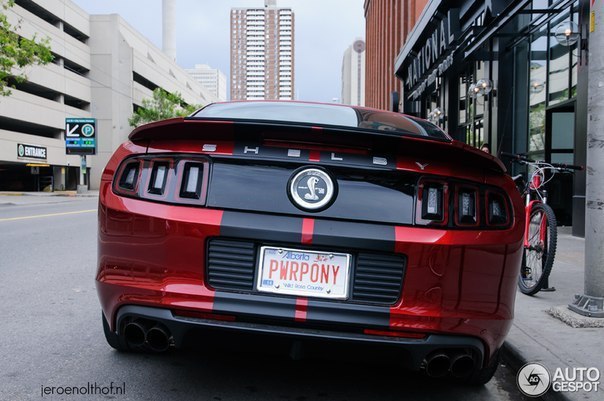 Ford Mustang Shelby GT500 - 8