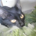 ���� ������, �����������, 55 ��� - ��������� 4 ������� 2015 � ������ ������ ��������