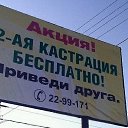 ���� �������, �����, 54 ���� - ��������� 4 ������� 2015 � ������ ������ ��������
