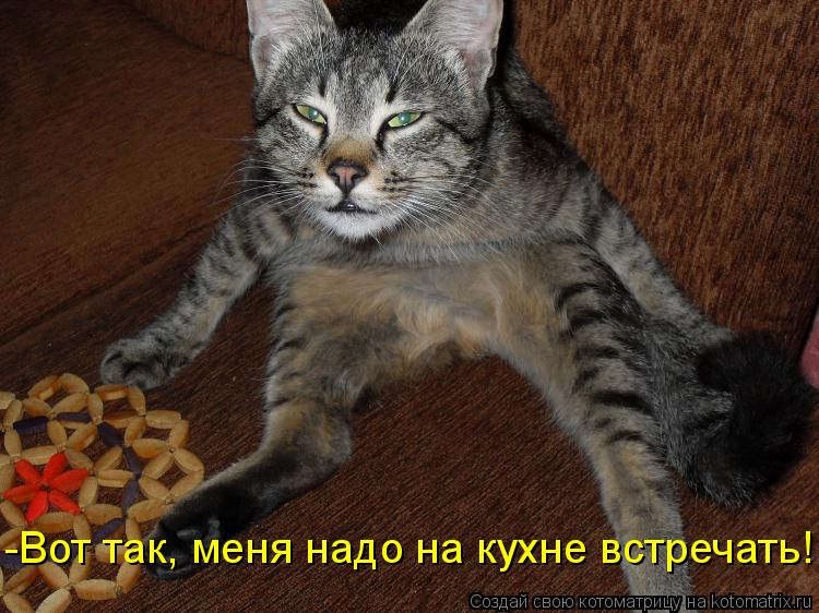 ОБО ВСЕМ - 10 октября 2015 в 20:26