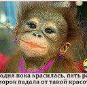 ���� �������, ������������, 60 ��� - ��������� 9 ������ 2016 � ������ ���� ����������