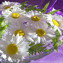 ���� Ani, ������ - ��������� 26 ������ 2015 � ������ ������...�