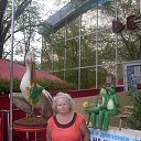 ���� �������, ������, 71 ��� - ��������� 10 ������� 2015 � ������ ������ ������-�������� 2015�