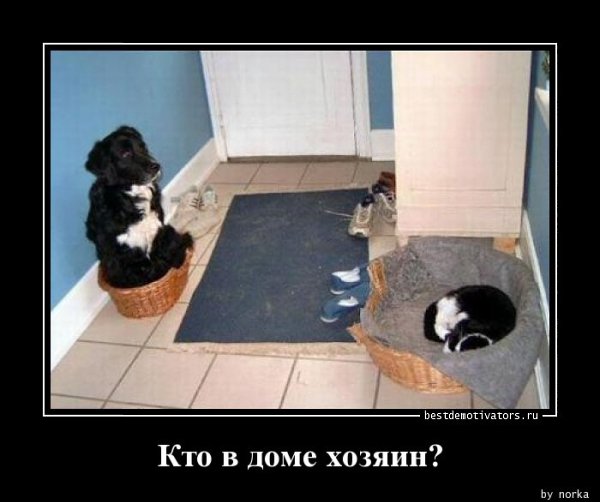 ***Victoria Viktorovna*** - 1  2016  07:02 - 2