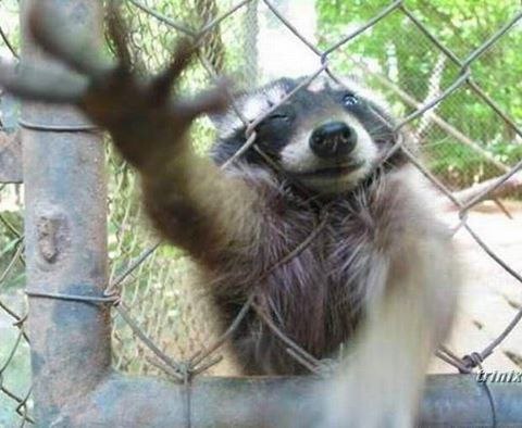 ���� �������� ��������, -.�� �������, �� ���������, -�� ����� ���� �������� ����������� ��� ...