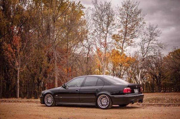  BMW      . BMW M5 (E39)    ! - 5