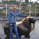 ���� ����, ���������, 54 ���� - ��������� 24 ������� 2015 � ������ ���� ����������