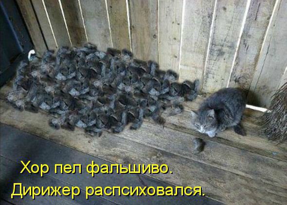  - 5  2016  09:15