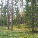 ���� Antons, ����, 68 ��� - ��������� 12 ������� 2015 � ������ ���� ����������