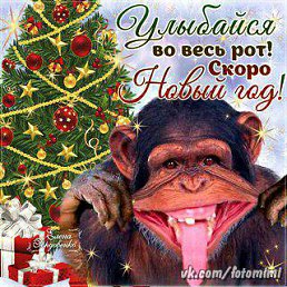 ���� ������, �����, 45 ��� - ��������� 7 ������ 2016