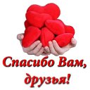 ���� �@���@, �����, 42 ���� - ��������� 8 ����� 2016 � ������ ������ ��������