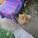 ���� �������, �����-��������� - ��������� 6 ������� 2015 � ������ ��������� ���� � fotiko.ru�
