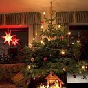 ���� �����, ������ �������� - ��������� 11 ������ 2016 � ������ ������ ��������