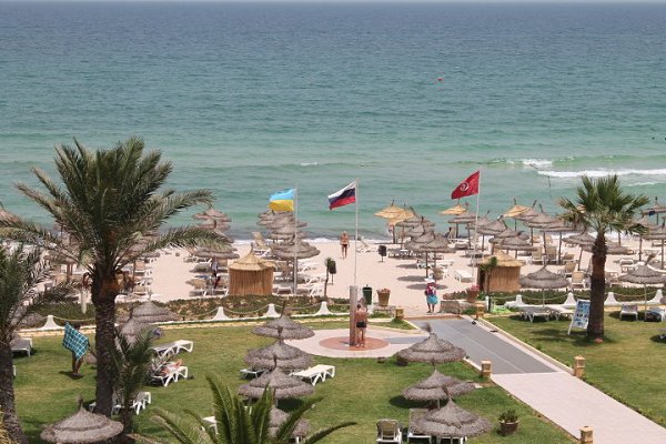 �����, Novostar Palmyra 3*, 2014 - 9