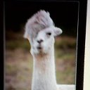 ���� �����, ������� - ��������� 27 ������� 2015 � ������ ���� ����������