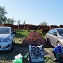 ���� �����, �����, 55 ��� - ��������� 12 ������� 2015 � ������ ���� ����������