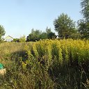 ���������� ����� ������� ������. ����������� , � �� ���������!������� �� �������. �� ������� ���� ����������