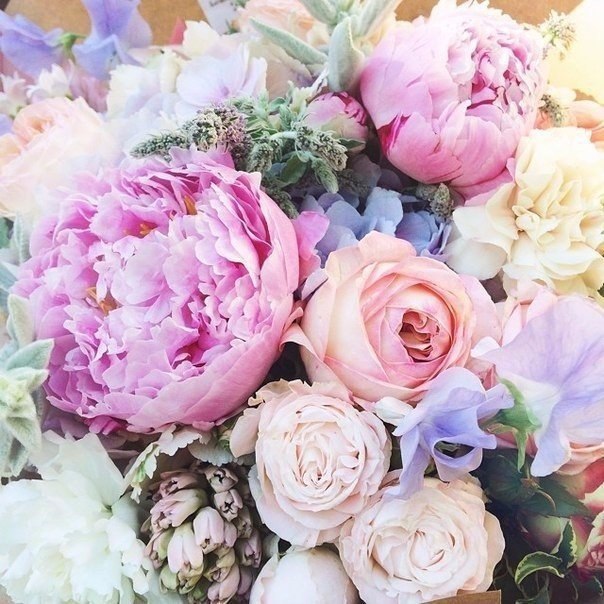 ���� � ������� - 21 ������� 2015 � 03:29 - 6